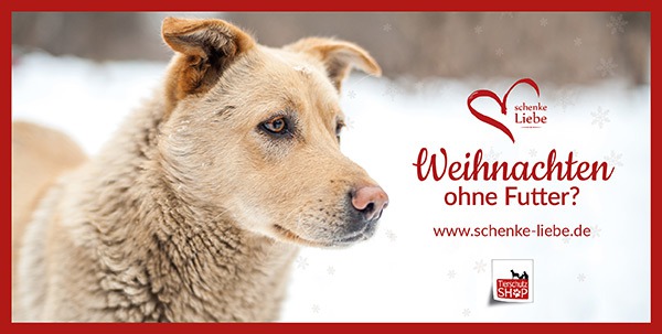 Postkarte-Schenke-Liebe-zur Schenke Liebe Weihnachtsaktion für Tierheimtiere Copyright Tierschutz-Shop