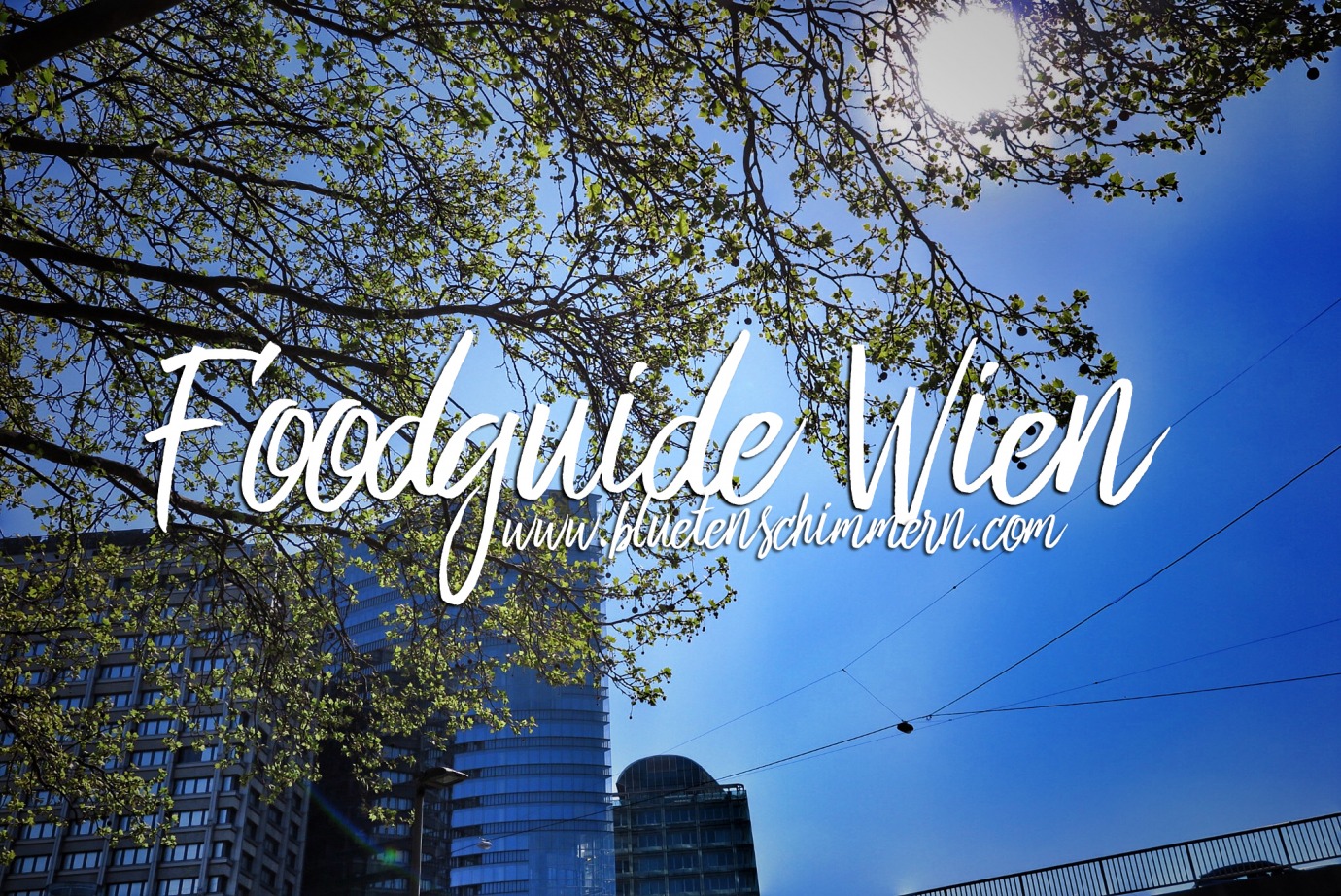 Foodguide Wien